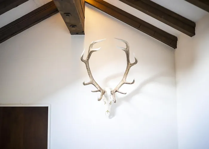 Daire Chasa Vulperola 3402 Vulpera