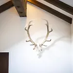Appartement Chasa Vulperola 3402 Vulpera